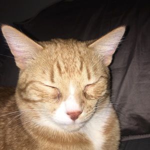 Meet your Posher, Colton